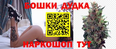 амф Новодвинск