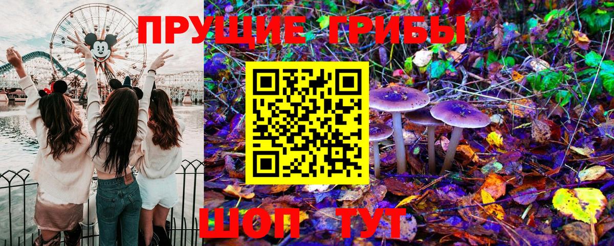 Саратов  Галлюциногенные грибы Cubensis  Вход с VPN  Псилоцибиновые грибы MAGIC MUSHROOMS 