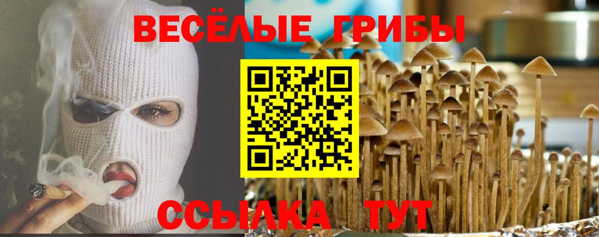Галлюциногенные грибы мицелий Саратов